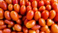 ripe tomatoes, this fruit is a staple ingredient in the world's kitchens