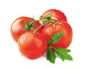 Ripe tomatoes isolated on white Royalty Free Stock Photo
