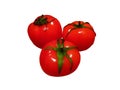 Ripe tomatoes