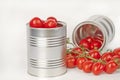 Ripe tomatoes in tin cans Royalty Free Stock Photo