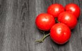 Ripe tomatoes on a twig. Royalty Free Stock Photo