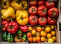 Ripe tomatoes and yellow peppers in cardboard boxes at the market, close up. On vines, blurred background of vegetables Royalty Free Stock Photo