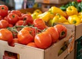 Ripe tomatoes and yellow peppers in cardboard boxes at the market, close up. On vines, blurred background of vegetables Royalty Free Stock Photo