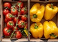 Ripe tomatoes and yellow peppers in cardboard boxes at the market, close up. On vines, blurred background of vegetables Royalty Free Stock Photo