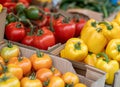 Ripe tomatoes and yellow peppers in cardboard boxes at the market, close up. On vines, blurred background of vegetables Royalty Free Stock Photo