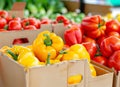 Ripe tomatoes and yellow peppers in cardboard boxes at the market, close up. On vines, blurred background of vegetables Royalty Free Stock Photo