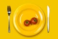 Ripe Tomatoes in yellow plate Royalty Free Stock Photo