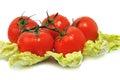 Ripe tomatos with leaves cabbage