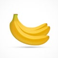 Ripe tropical banana fruit. Vector illustration Royalty Free Stock Photo