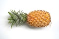 Ripe Tropical Pineapple on Clean White Surface. Royalty Free Stock Photo