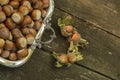 ripe unpeeled hazelnuts