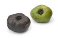 Ripe and unripe black sapote fruit