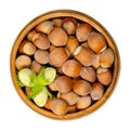 Ripe and unripe unshelled hazelnuts in a wooden bowl Royalty Free Stock Photo