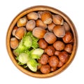 Ripe and unripe hazelnuts, shelled and unshelled hazelnuts, in a wooden bowl Royalty Free Stock Photo