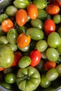 Ripe and Unripe Tomatoes