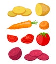 Potato, beet, carrot, tomato - slices. Cartoon flat style. Vector illustration