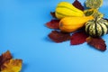 Ripe vegetables and yellow, autumn leaves on a blue background Royalty Free Stock Photo