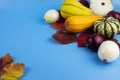 Ripe vegetables and yellow, autumn leaves on a blue background Royalty Free Stock Photo