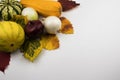 Ripe vegetables and yellow, autumn leaves on a white background Royalty Free Stock Photo