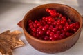 Ripe viburnum in clay bowl. Autumn beriies. Autumn harvest. Natural antioxidant. Natural flu remedy. Raw viburnum berries close up Royalty Free Stock Photo