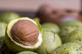 Ripe Walnuts With Green Shells