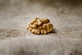 Ripe walnuts lie on a coarse cloth. Royalty Free Stock Photo