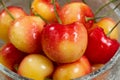 Ripe Washington State Rainier cherries in glass bowl Royalty Free Stock Photo