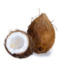 Ripe Watercolor coconut illustration.