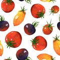 Ripe watercolor tomatoes seamless pattern. Hand drawn illustration on white background. Garden vegetables - red, black, yellow Royalty Free Stock Photo