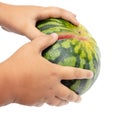 Ripe watermelon cuts with a knife on a white background