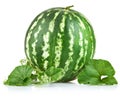 Ripe watermelon with green leaf Royalty Free Stock Photo
