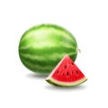 Ripe watermelon realistic 3d fruit on a white background.Vector illustration