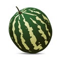 Ripe Watermelon on white background