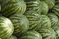 Ripe watermelons in the market. Close up. A lot of large ripe green striped watermelons close up background. Organic farmer market Royalty Free Stock Photo