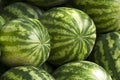 Ripe watermelons in the market. Close up. A lot of large ripe green striped watermelons close up background. Organic farmer market Royalty Free Stock Photo