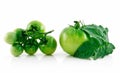 Ripe Wet Green Tomatoes with Leaves Royalty Free Stock Photo