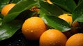 Ripe wet oranges lying in a pile with green leaves. Harvesting, autumn Royalty Free Stock Photo