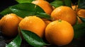 Ripe wet oranges lying in a pile with green leaves. Harvesting, autumn Royalty Free Stock Photo