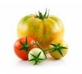 Ripe Wet Red and Green Tomatoes Isolated on White Royalty Free Stock Photo