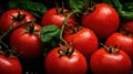 Ripe wet tomatoes lying in a pile with green leaves. Harvesting, autumn Royalty Free Stock Photo