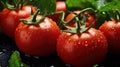 Ripe wet tomatoes lying in a pile with green leaves. Harvesting, autumn Royalty Free Stock Photo