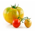 Ripe Wet Yellow and Red Tomatoes Isolated on White Royalty Free Stock Photo