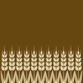 Ripe wheat ears background Royalty Free Stock Photo