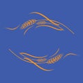 Ripe wheat ears sheaf on blue background. Vector illustration, template as frame, corner or border element Royalty Free Stock Photo