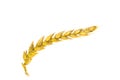 Ripe wheat plant isolated on white background Royalty Free Stock Photo