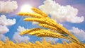ripe wheat spikelets on field at fine summer day - nature 3D illustration