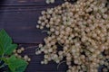 ripe white currant on a wooden background