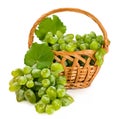 Ripe white grapes in a wicker basket Royalty Free Stock Photo