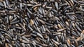 Ripe whole-grain niger seeds Guizotia Abyssinica