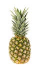 Ripe whole pineapple isolated